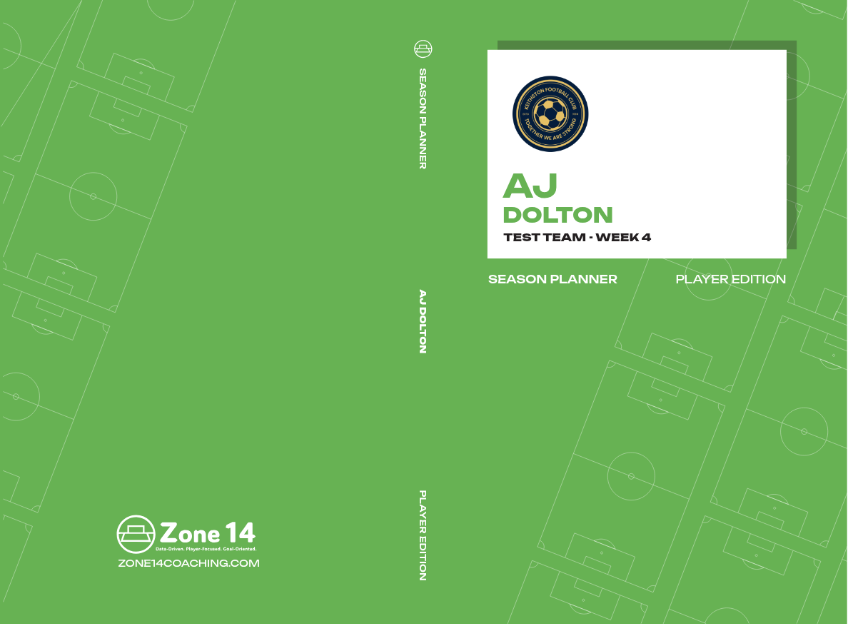 AJ Dolton's Softcover Player's Journal cover image