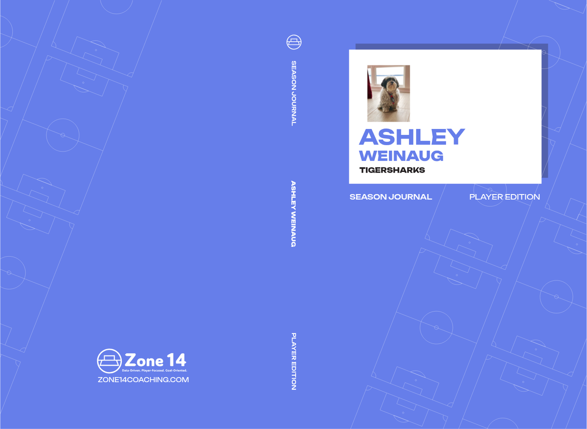 Ashley Weinaug's Player's Journal cover image
