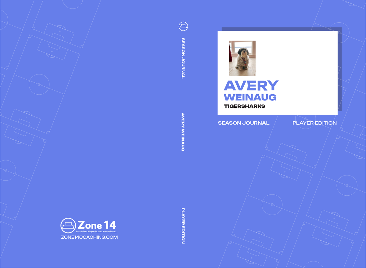 Avery Weinaug's Player's Journal cover image