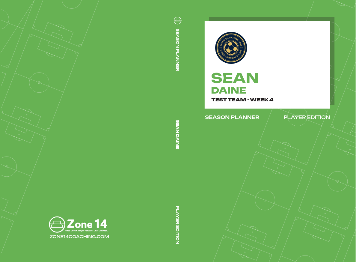 Sean Daine's Softcover Player's Journal cover image
