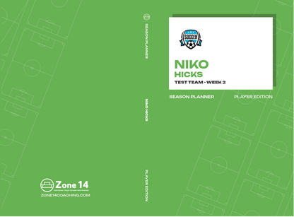 Niko Hicks' Softcover Player's Journal cover image
