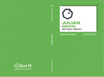 Julian Mercer's Softcover Player's Journal cover image