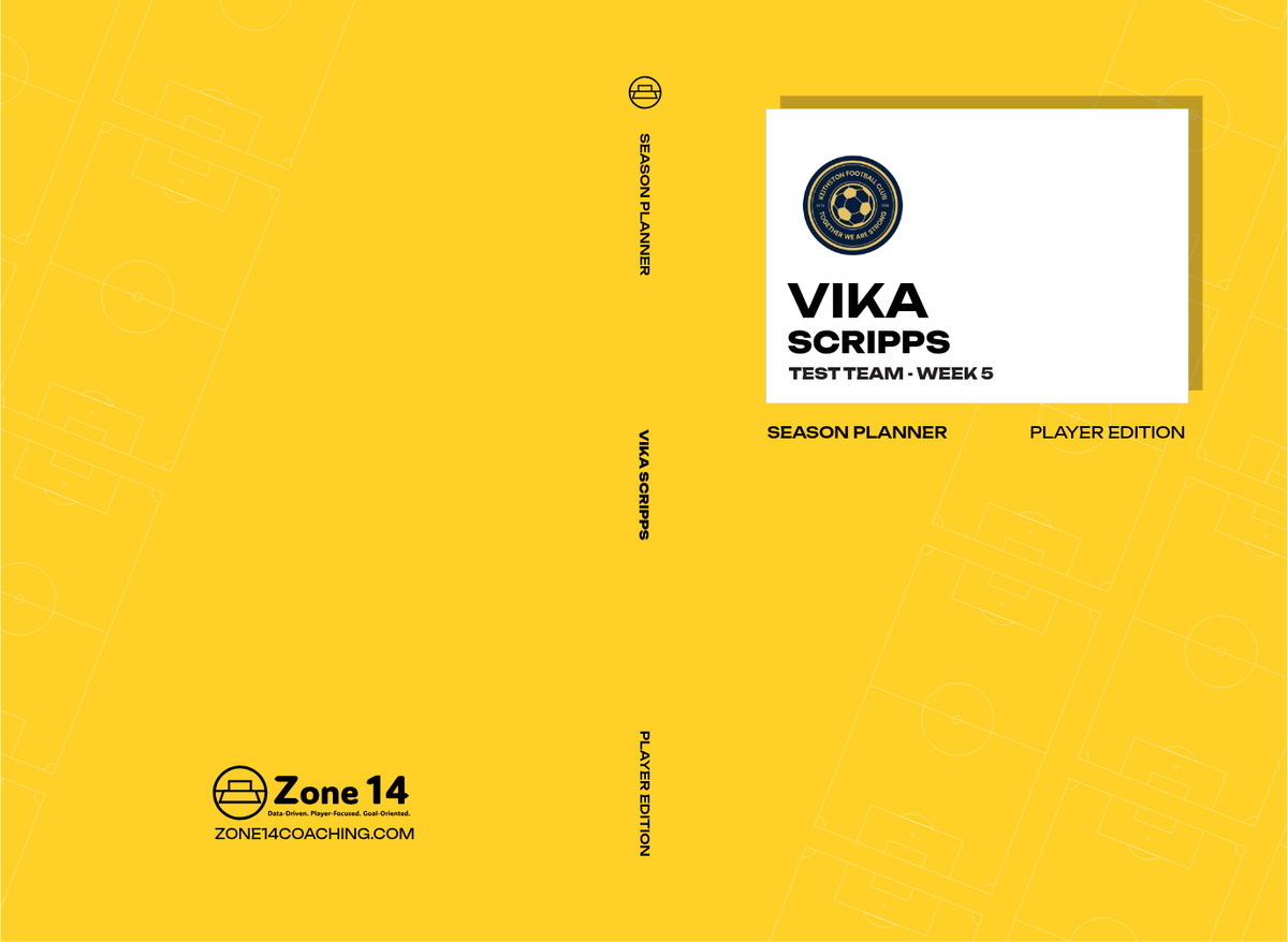 Vika Scripps' Hardcover Player's Journal cover image