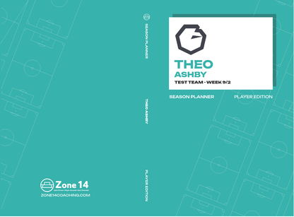 Theo Ashby's Softcover Player's Journal cover image