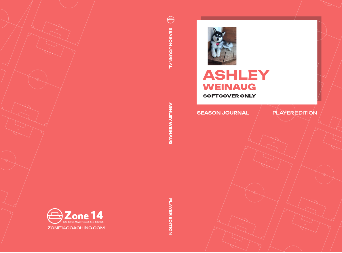 Ashley Weinaug's Softcover Player's Journal cover image